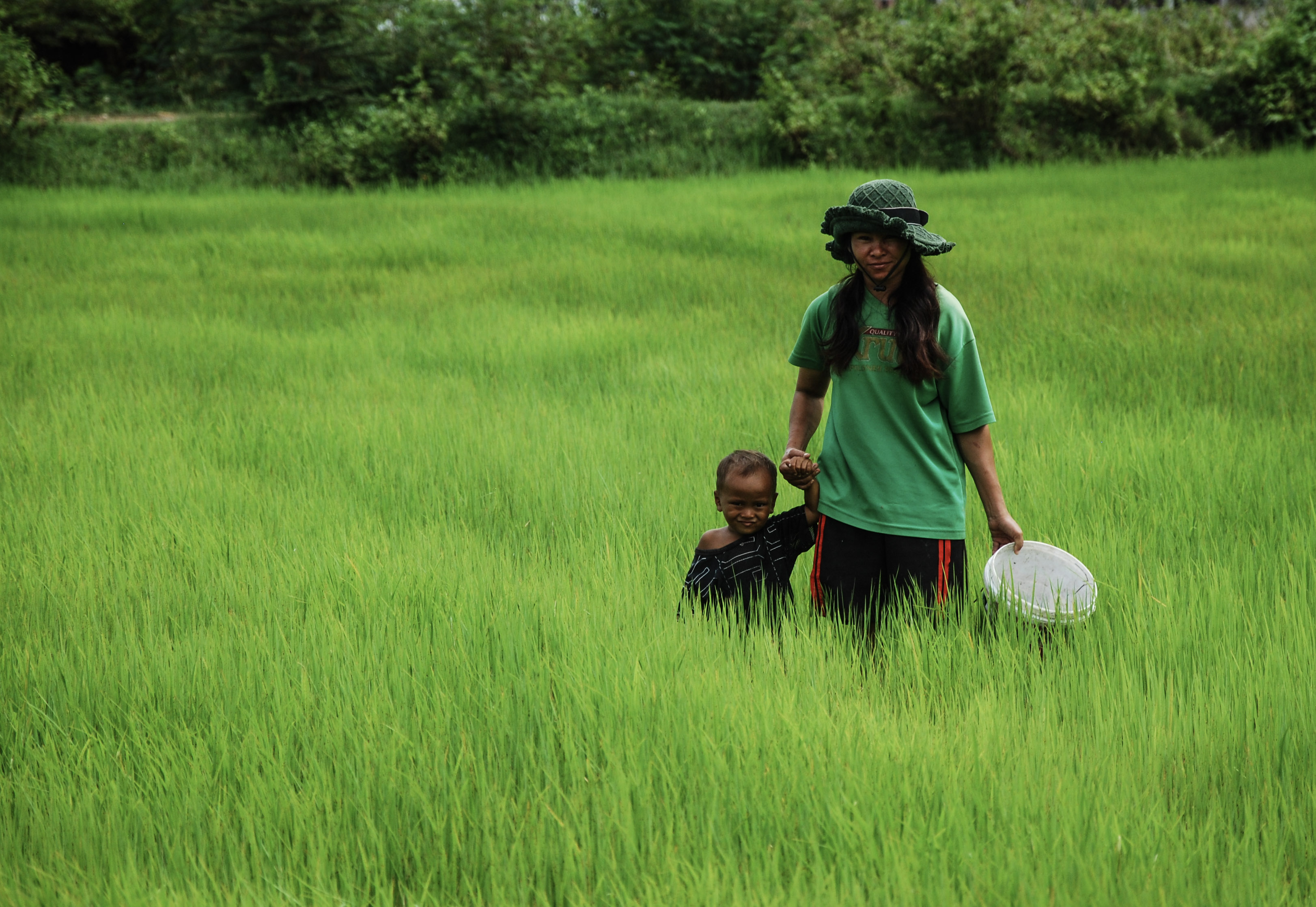 Farmers working together in Kampot rice fields